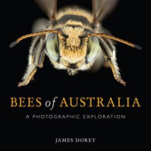 Bees of Australia a Photographic Exploration