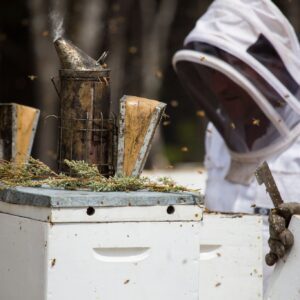 Bee Equipment