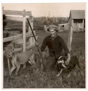 Thylacine